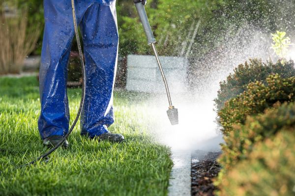 Curb Cleaning in Clovis