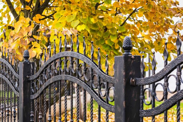 Wrought Iron Fence Washing in Clovis