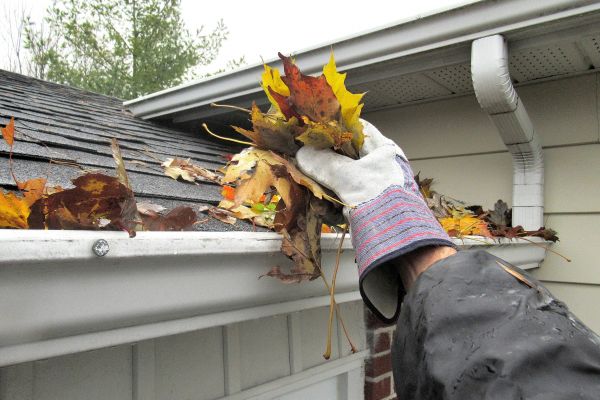 Eaves Cleaning in Clovis