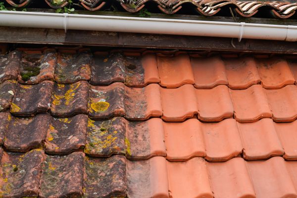 Industrial Roof Cleaning in Clovis